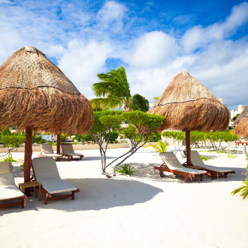 Chaise lounges under an umbrella on sandy beach