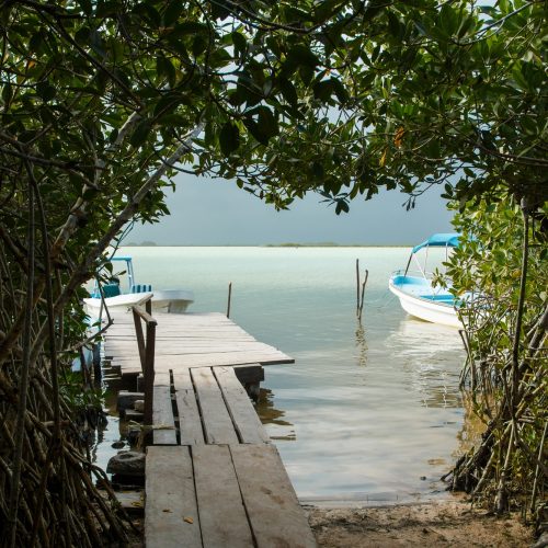 Tunnel in jungle to the lake